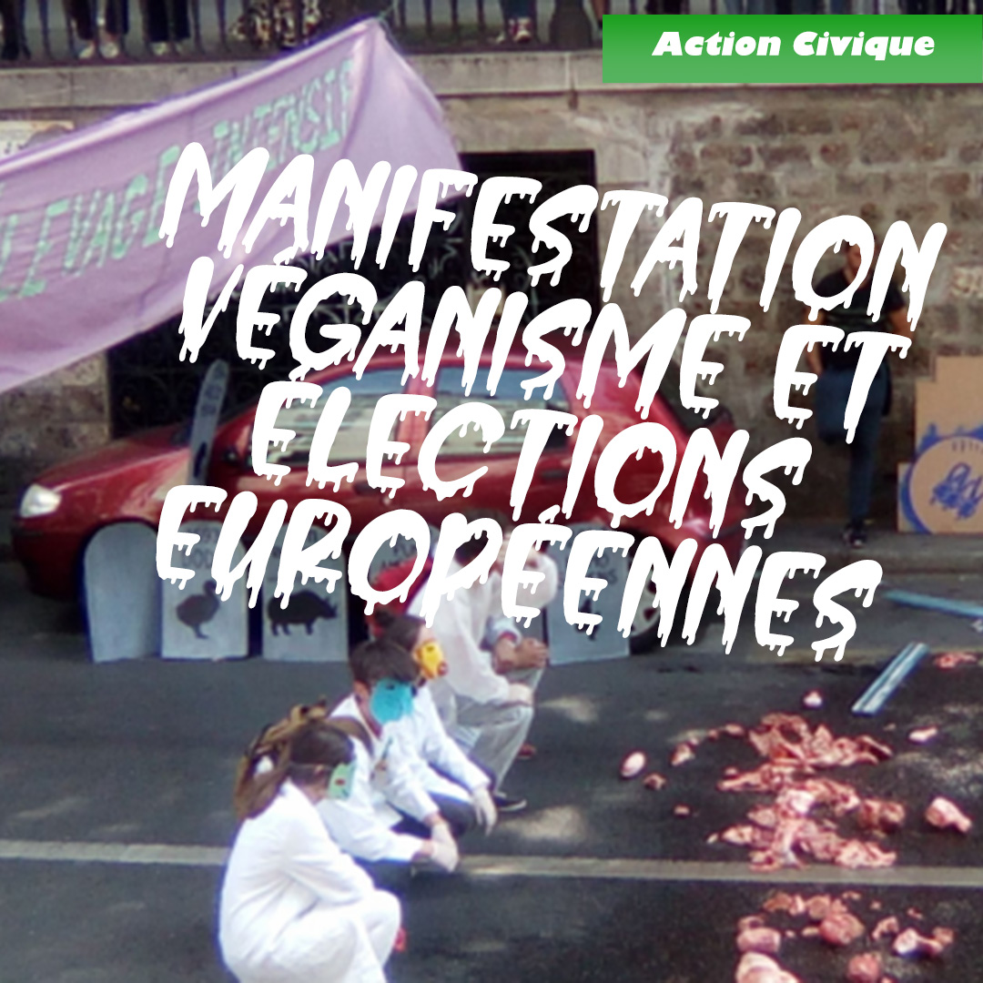 Manifestation, véganisme et élections européennes
